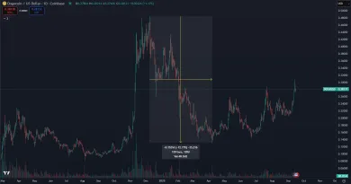 Pád DOGE po novembrovom raste