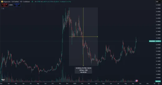 Pád DOGE po novembrovom raste
