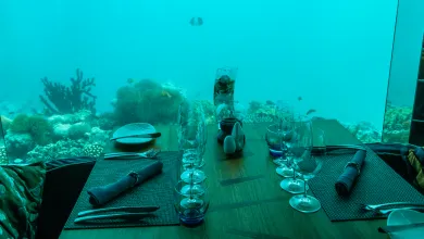 Podvodná reštaurácia