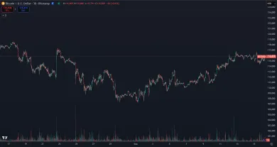 Pohyb BTC za posledný mesiac