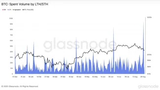 Pomer dlhodobých a krátkodobých držiteľov