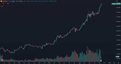 Posledné roky zlato rekordne rastie