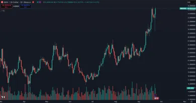 Prudký rast kryptomeny AVAX v roku 2025