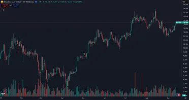 Rast Bitcoinu v roku 2025