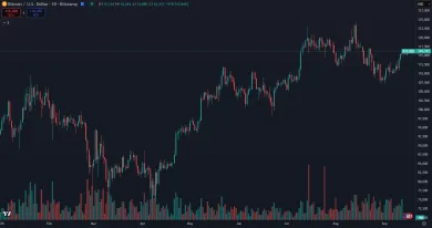 Rast Bitcoinu v roku 2025