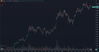 Rast Bitcoinu v tomto cykle