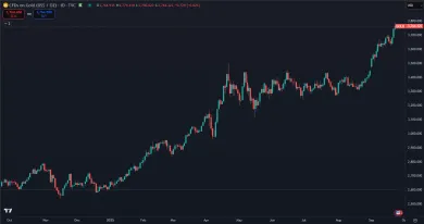 Rast zlata za posledný rok