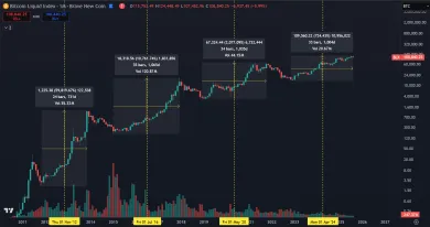 Rastúce cykly podľa halvingu