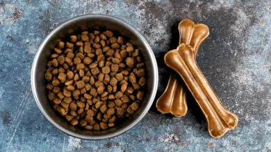 Tester psieho krmiva