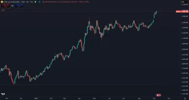 Zlato dosahuje nové historické maximum