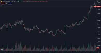 Zlato na novom maxime