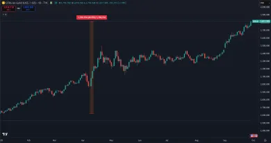Zlato stúplo v tomto roku o 45 %