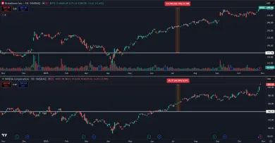 Akcie Broadcom a Nvidia