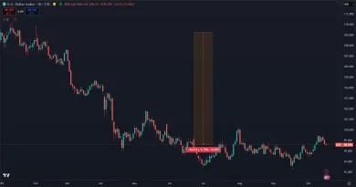 Ako dolár padá v roku 2025