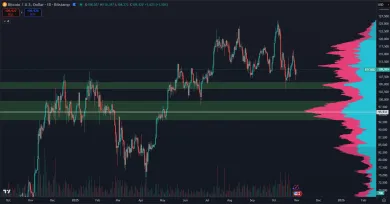 Bitcoin a dva hlavné supporty
