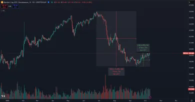 Bitcoin a jeho dominancia na trhu