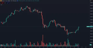 Bitcoin a jeho nedávny zostup