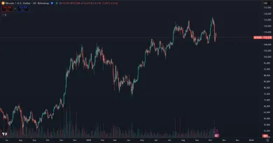 Bitcoin a jeho trhová cena po korekcii