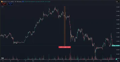 Bitcoin a jeho vzostup a pád za posledný mesiac