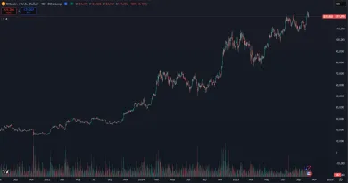 Bitcoin a jeho vzostup v súčasnom cykle