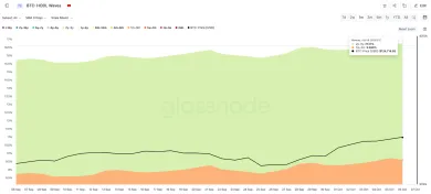 Bitcoin a metrika hodl waves