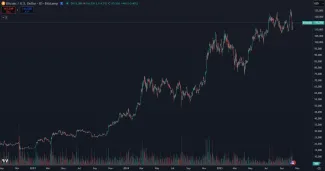 Bitcoin dlhodobo rastie na hodnote