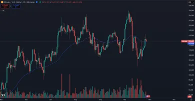 Bitcoin mierne posilnil