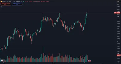 Bitcoin na historickom maxime