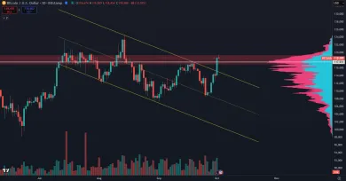 Bitcoin prudko stúpol