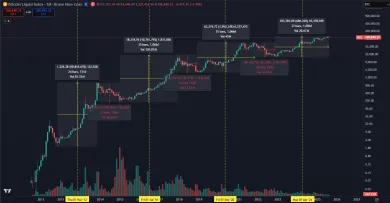 Bitcoin zatiaľ stále opakuje historické cykly