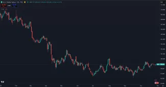 Dolár a jeho pokles v roku 2025