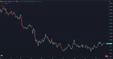 Dolár a jeho pokles v roku 2025