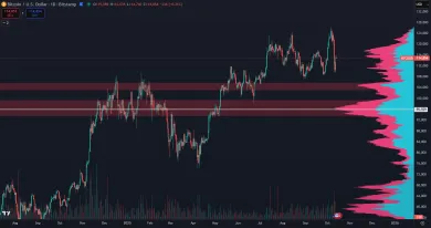 Dve hlavné supportné zóny