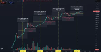Halving a jeho vplyv na Bitcoin