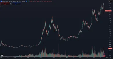 Hodnota kryptomien dlhodobo stúpa