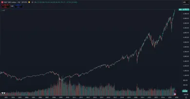 Investovanie do indexov ako S&P 500