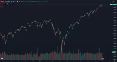 Investovanie do indexu S&P 500 sa oplatilo