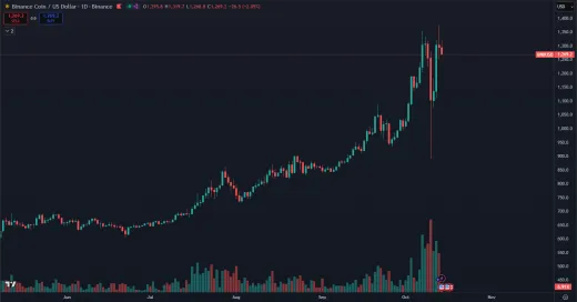 Kryptomena BNB ignoruje korekciu trhu