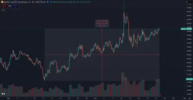 Nárast BTC dominancie