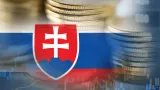 NKÚ zvažuje novú kontrolu sociálnych podnikov