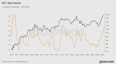 Objem obchodovania na spotových burzách