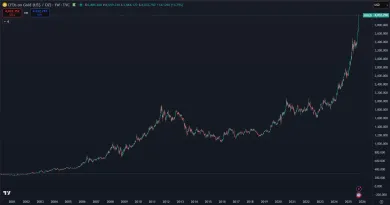 Obrovský rast zlata v tomto tisícročí