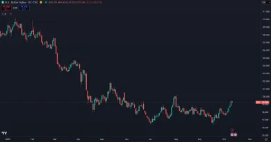 Oslabenie dolárového indexu v roku 2025