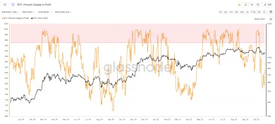 Percento ponuky Bitcoinu v zisku