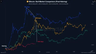 Porovnanie cyklov pre Bitcoin