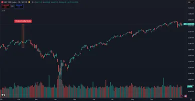 Rast indexu S&P 500 v roku 2025
