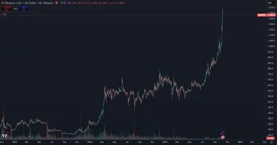 Rekordný rast kryptomeny BNB