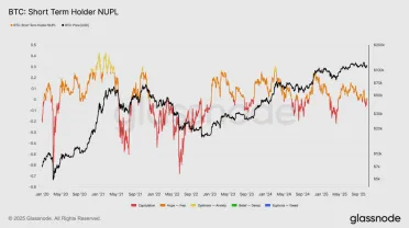 Správanie krátkodobých držiteľov a Bitcoin