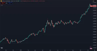 Zlato rastie posledný rok rekordným tempom