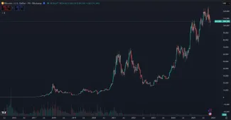 Ako dlhodobo rastie Bitcoin